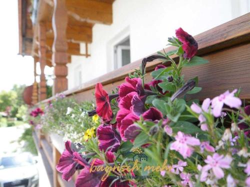 Gstadt Casa | Bavarian holiday apartment more