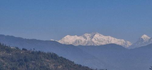 Darjeeling Casa | BBASAN FARMs