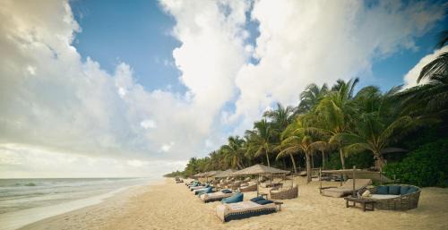 Zona Hotelera Hotel | BE Destination Tulum