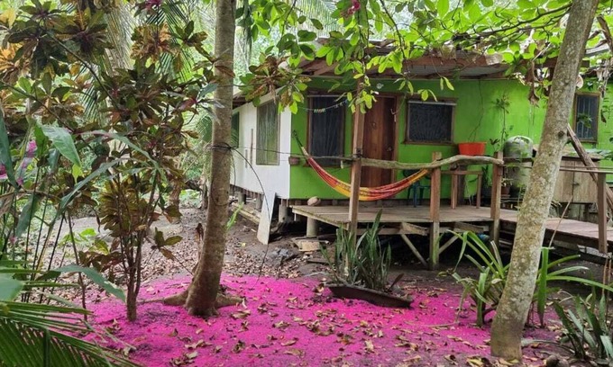 Puerto Viejo de Talamanca Apartamento | BeachFront Apartment, 45 meter from sea, sorounded by wild nature, eco friendly