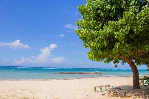 St.Bran's Burg Apartamento | Beach Dreams at Seacastles