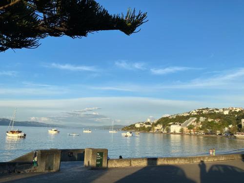 Oriental Bay Apartamento | Beach front House