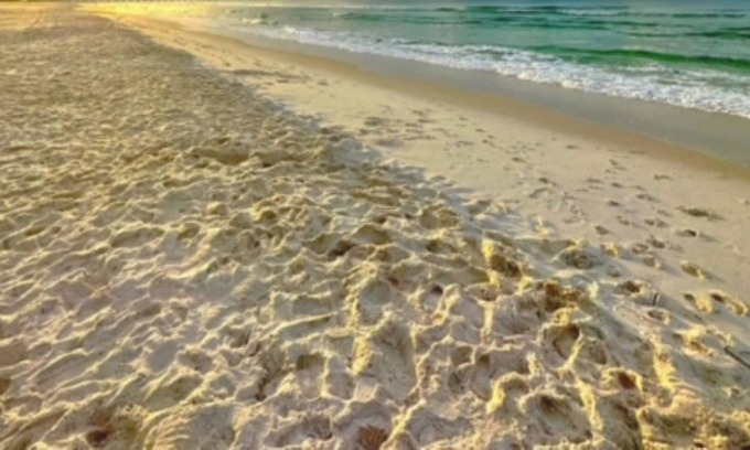 Bid-a-wee Beach Casa | PLAYA PRIVADA EN PCB PARAISO HOGAR / APARCAMIENTO / WIFI