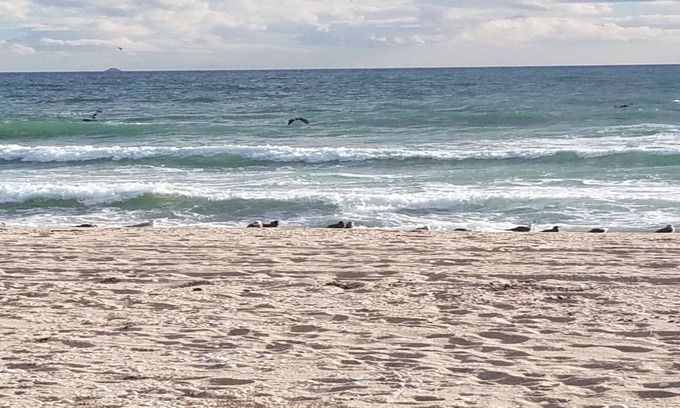 Puerto Peñasco Casa | FRENTE AL MAR 3 BDRM 3 BAÑOS ADOSADO. EN CAMAS-8 +. ACTUALIZADO. TARIFAS ESPECIALES LLAME A KIM