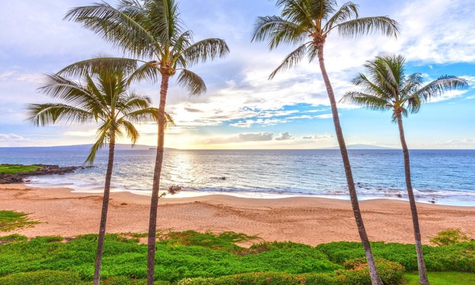 Wailea Condominio | Condominio frente al mar B-303 - Recientemente remodelado