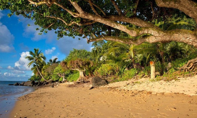 Kilauea Cabaña | Casa frente al mar TVNC-1361