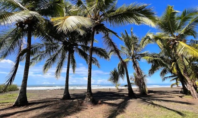 Parrita Casa | Beachfront-Luxury-Wildlife-Fast internet
