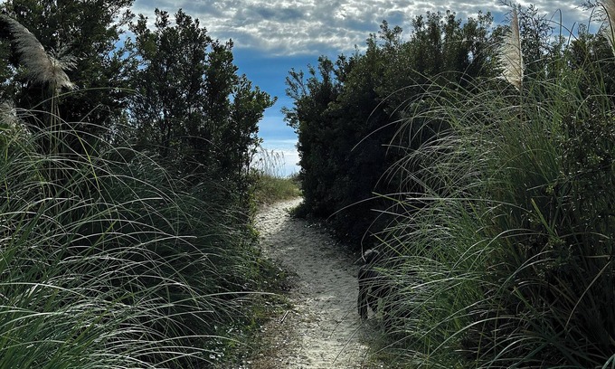 Isle of Palms Apartamento | Beachy Vintage Vibe — Pet Friendly!