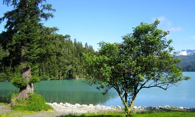 Cordova Casa | Bear Country Lodge # 2
