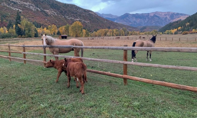 Somerset Cabina | Bear Creek Hideaway Log Cabin on River Fishing & WiFi on Kebler Pass