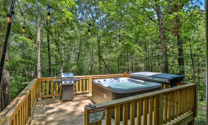 Ellijay Cabina | Bear Necessities | Ellijay, GA