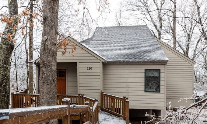 Treeloft Casa | Bear Necessities with Wintergreen Advantage