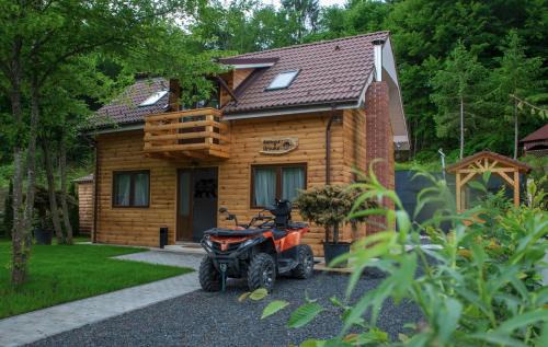 Porumbacu de Jos Chalet De Esquí | Bear's Lair Chalet