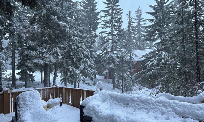 Government Camp Cabina | Bearcat Lodge - Gov't Camp Retreat @ Timberline