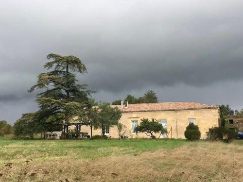Cursan Apartamento | Beau gîte dans Domaine viticole & arboricole