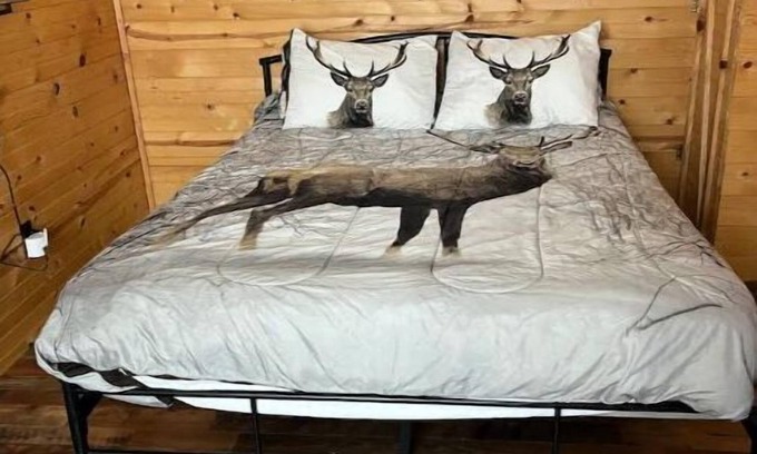Antlers Cabina | Beau’s Place