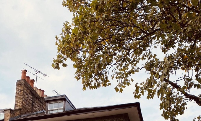 Canonbury Casa | Beautiful 5-bedroom townhouse