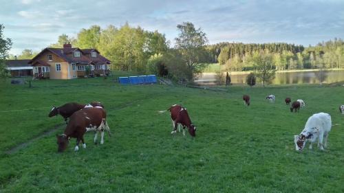 Nykoping Municipality Casa | Beautiful and peaceful in earth house, 90 m2