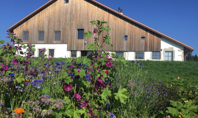 La Brevine Apartamento | Beautiful apartment in an old renovated farmhouse