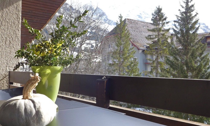 Wengen Apartamento | Bonito apartamento para 5 personas con WIFI, TV y balcón