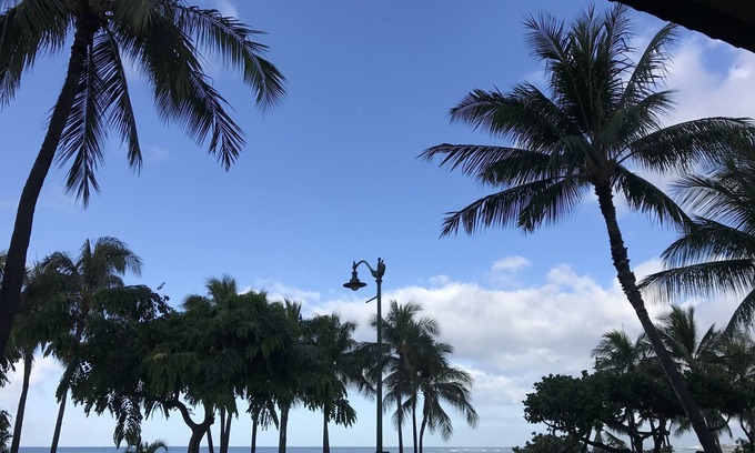 Diamond Head - Kapahulu - St. Louis Condominio | Beautiful Condo in the heart Diamond Head Honolulu, HI