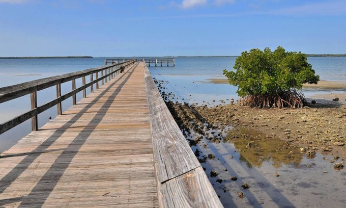 Palmetto Apartamento | Beautiful Condo "What a View" Terra Ceia Golf & Tennis Club