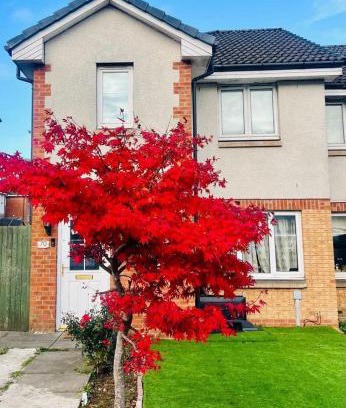 Glasgow Casa | Beautiful Cottage