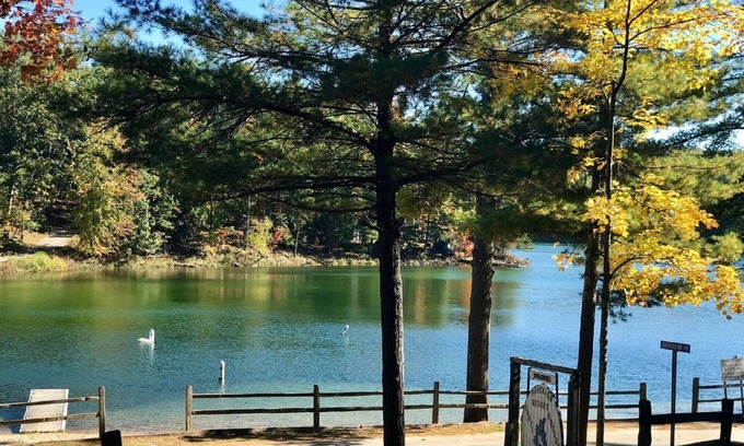 Mayfield Cabaña | Hermosa cabaña en el lago Arbutus, Traverse City, MI 49696