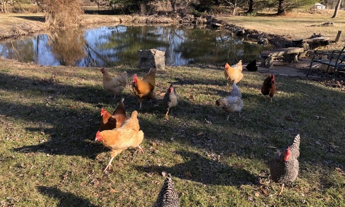 Turners Casa | Beautiful Farm Living with Horses