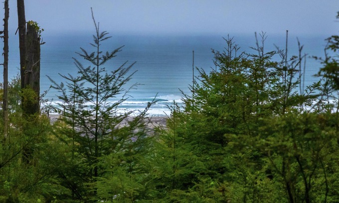 Fort Bragg Cabina | Beautiful Glamping Cabin in an old growth redwood forest with ocean views.