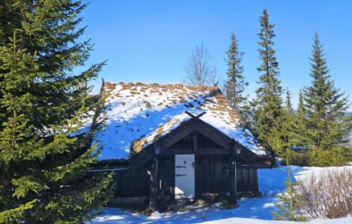 Nes Casa | Beautiful Home In Nesbyen With Sauna
