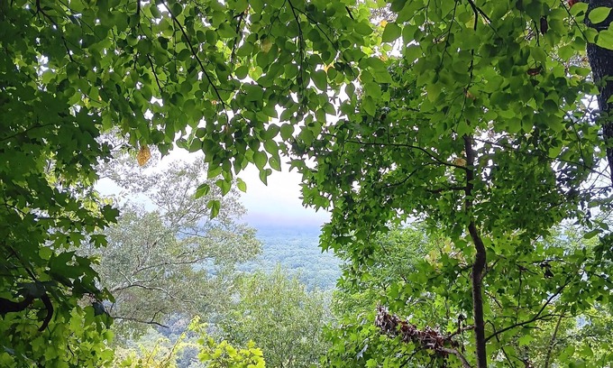 St. Elmo Improvement League Apartamento | Beautiful Lookout Mountain view in Chattanooga /ev charger/SAUNA/Hot Tub