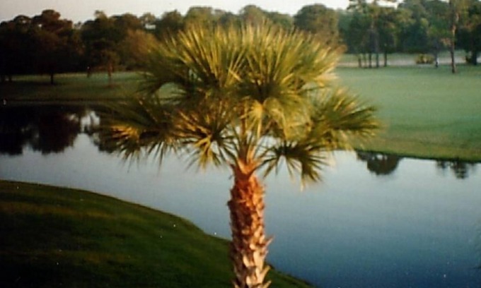 Braden River Condominio | Beautiful Meadows Condominium Pintoresca vista al agua y al golf