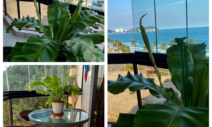 Jardim Tejereba Apartamento | Hermosa vista panorámica de la playa de la cala !! Comodidad y completo ocio !!!