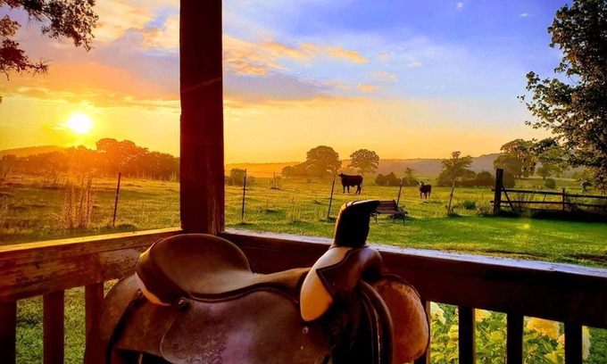 Alpine Cabina | COUNTRY CABIN 2BR, 2BA- Hermoso y tranquilo entorno - Se admiten mascotas ($ 50 por mascota)