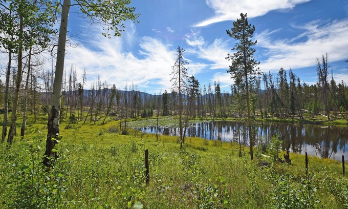 Grand Lake Cabina | Beautiful secluded setting on one acre that borders RMNP.