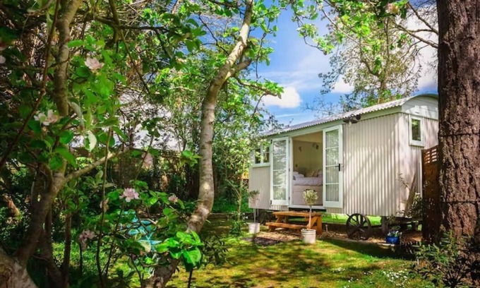Netheravon Cabina | Beautiful Shepherds Hut B&B nr Stonehenge, Avebury, Salisbury, Bath - WiFi, TV