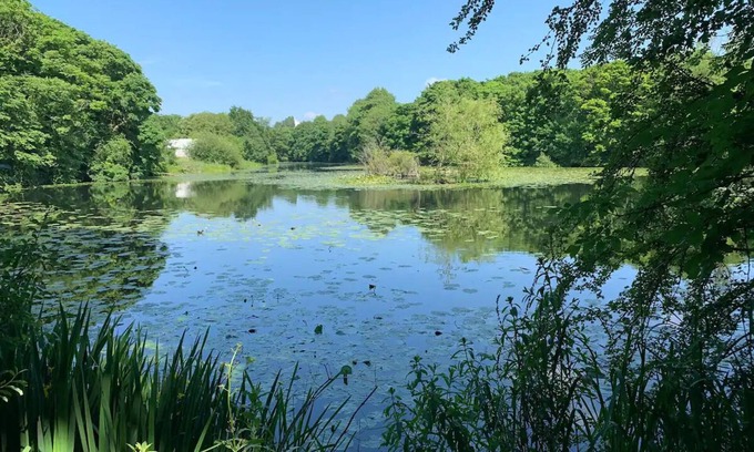 Stoke Bardolph Casa | Beautiful stay next to lakes and river
