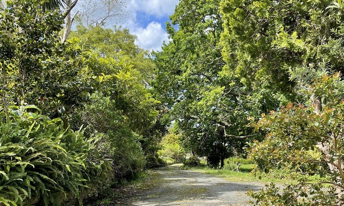 Whananaki Casa | Beautiful views of the Whananaki estuary, from your cosy flat.