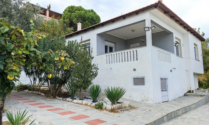 Palaio Tsifliki Casa | Villa Siesta oasis de calma rodeado de olivos y con vistas al mar de Egeai