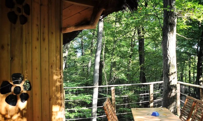 Salles-en-Toulon Casa | Beauty Park - Cabane des Lutins 5 people