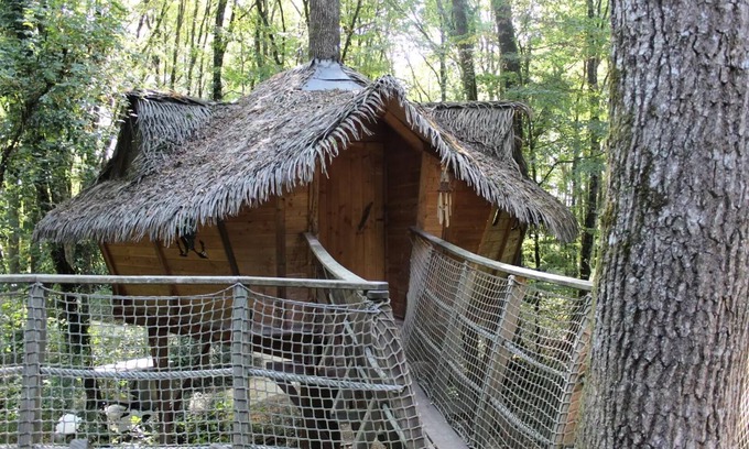 Salles-en-Toulon Casa | Beauty Park - Squirrel Cabin 4 people