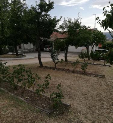 San Bartolomeo in Galdo Cama Y Desayuno | Bed and Breakfast "POGGIO MARANO"