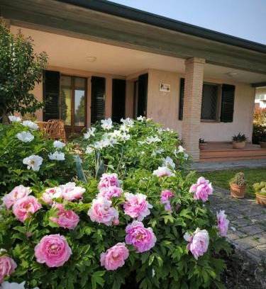 Castiglione di Cervia Cama Y Desayuno | Bed and Breakfast La Contessa