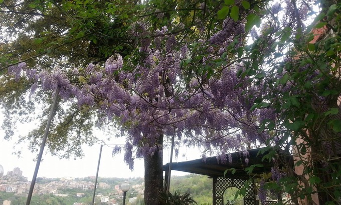 Subiaco Cama Y Desayuno | Bed & Breakfast Ristorante Belvedere