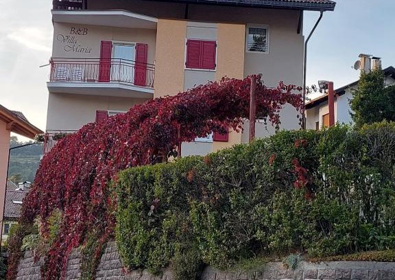 Cavalese Cama Y Desayuno | Bed & breakfast Villa Maria