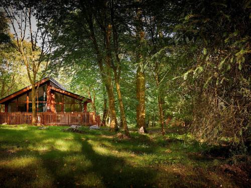 Beddgelert Complejo | Beddgelert Cabins, Snowdonia - Forest Holidays