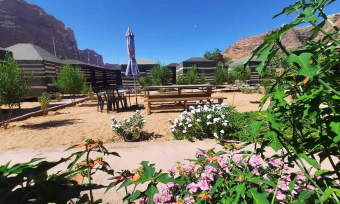 Wadi Rum Alquiler De RV | Bedouin village camp