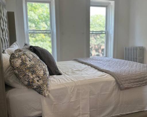 Bedford-Stuyvesant Apartamento | Bedstuy beauty