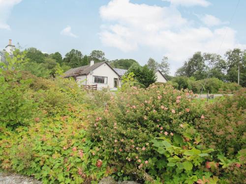 Torcastle Casa | Beech House